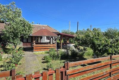 Casă cu Teren 2350 Mp în Jiana - 7