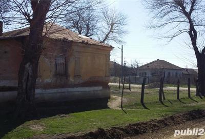 Teren de 2600 mp, în Giurgița - 10