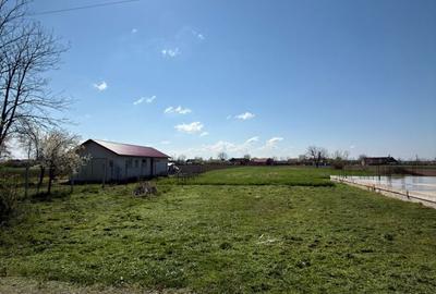 Spațiu comercial, în Ohaba-Forgaci - 1