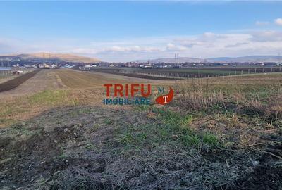 Teren agricol intravilan de 1453 mp, în Bărăbanț