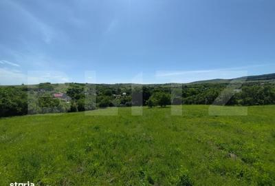 Casă cu 3 camere cu Teren 4800 Mp în Horlești