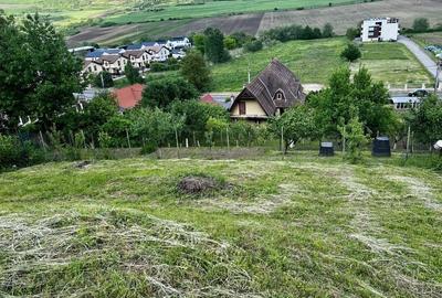 Teren de 600 mp, în Bărdești - 1