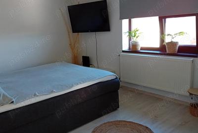 Casă cu 4 camere cu Teren 1350 Mp în Vărșand - 7