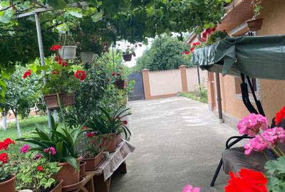 Casă cu 4 camere în Topliceni