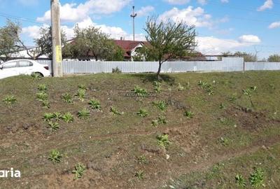 Casă cu 5 camere cu Teren 1116 Mp în Central