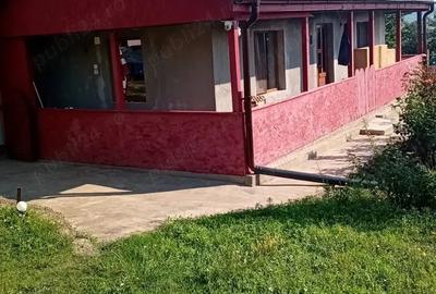 Casă cu 2 camere cu Teren 3500 Mp în Central