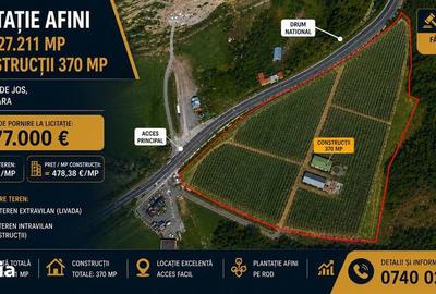 Spațiu comercial, de 370 mp, în Lăpugiu de Jos