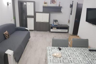 Apartament cu 2 camere semidecomandat în Viziru 1
