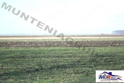 Teren de 9200 mp, în Afumați - 5