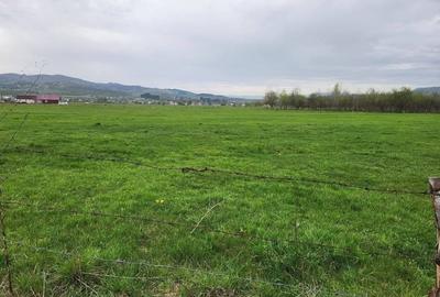 Teren Construcții intravilan de 13377 mp, în Est - 2