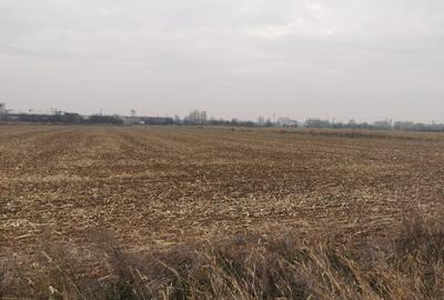 Teren Construcții intravilan de 4550 mp, în Ciolpani - 7