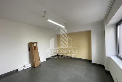 Birou, de 125 mp, în Elisabetin - 5