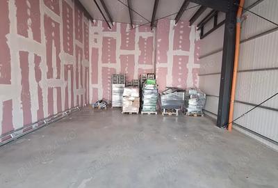 Spațiu comercial, de 70 mp, în Buziaș - 2