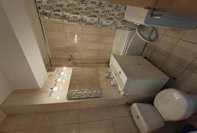 Apartament cu 2 camere semidecomandat în Craiovei