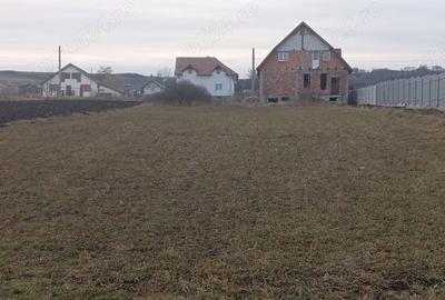 Teren de 2541 mp, în Mândra - 5