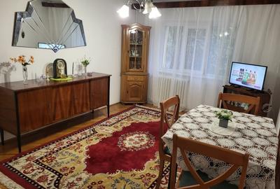 Apartament cu 2 camere decomandat, mobilat în Brazda lui Novac