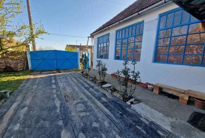 Casă cu 3 camere în Central - 7