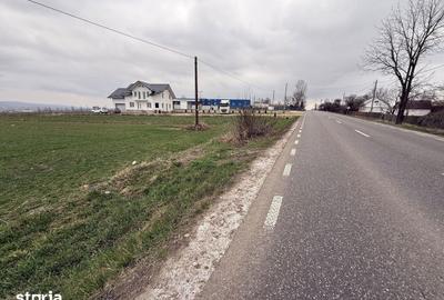 Teren de 3255 mp, în Grănicești - 4