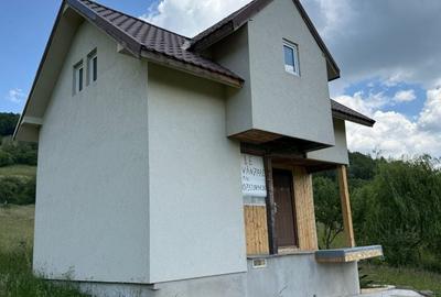 Casă cu 2 camere în Vișagu - 3