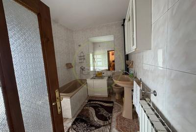 Casă individuală cu 5 camere cu Canalizare în Valea Rosie - 14