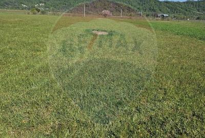 Teren de 1780 mp, în Bocicoiu Mare - 7