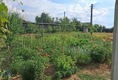 Casă cu Teren 1000 Mp în Râșca - 10