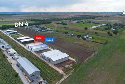 Spațiu industrial, de 550.59997558594 mp, în Frumușani