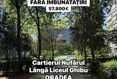 Apartament cu 2 camere semidecomandat în Nufărul - 2