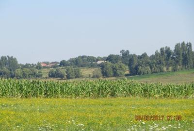 Teren extravilan de 50000 mp, în Frătăuții Noi