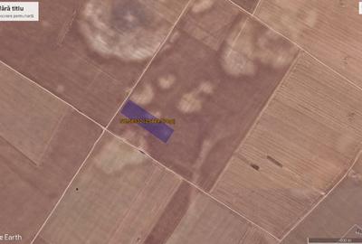 Teren agricol extravilan de 22725 mp, în Glina - 4