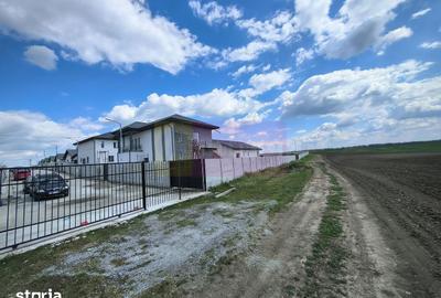 Teren de 3000 mp, în Cernica - 12