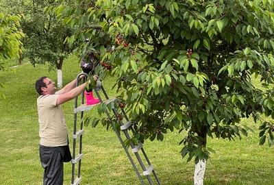 Casă individuală cu 3 camere cu Teren 7500 Mp în Sulighete - 6
