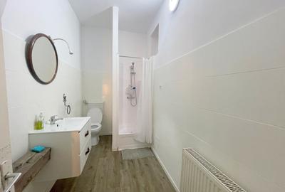 Apartament cu 2 camere semidecomandat, mobilat în Ultracentral - 12