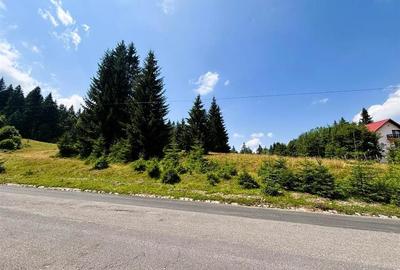 Teren Construcții intravilan de 1000 mp, în Vlădeț - Trei Brazi - 1