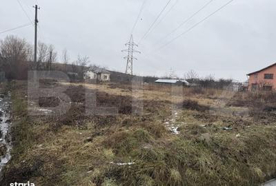 Spațiu comercial, în Priseaca - 3
