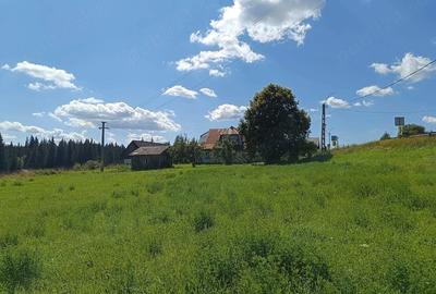 Casă cu 3 camere cu Teren 3900 Mp în Poiana Stampei