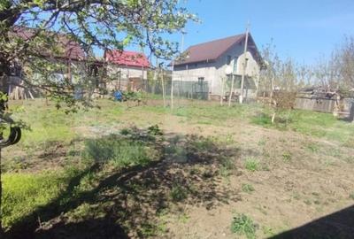 Teren de 974 mp, în Valea Lupului - 3