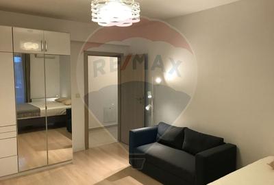 Apartament cu 1 camere decomandat, mobilat în Drumul Taberei - 3