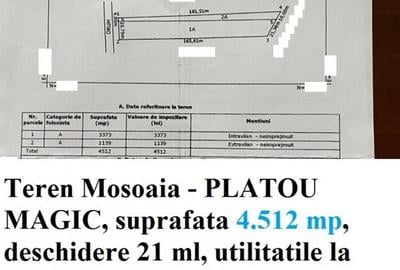 Teren Construcții intravilan de 533 mp, în Trivale - 7
