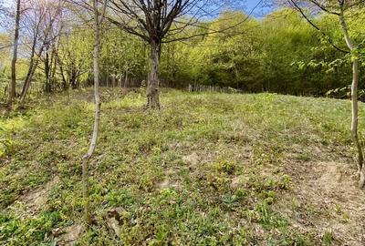 Teren de 4360 mp, în Valea Doftanei