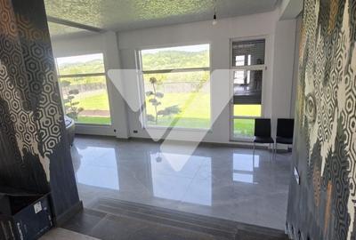 Casă cu 5 camere cu Teren 1190 Mp în Sadu - 9