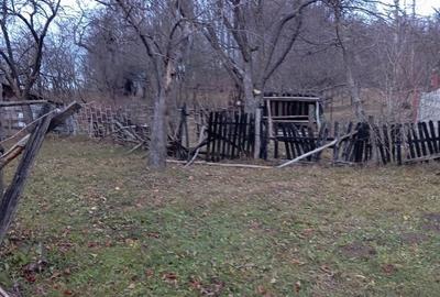 Teren de 2000 mp, în Ocina de Sus - 5