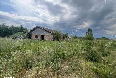 Spațiu comercial, în Daia - 3