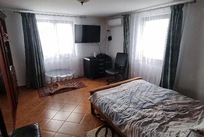 Casă cu 5 camere cu Teren 3000 Mp în Mitocu Dragomirnei - 2