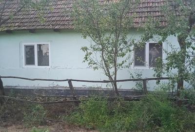 Casă cu Teren 5000 Mp în Miheleu - 3