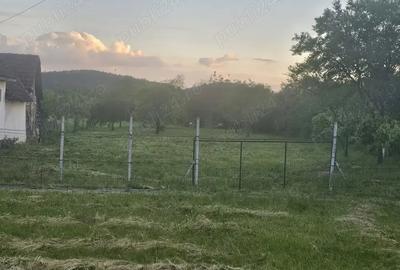 Teren de 1379 mp, în Ignești - 2