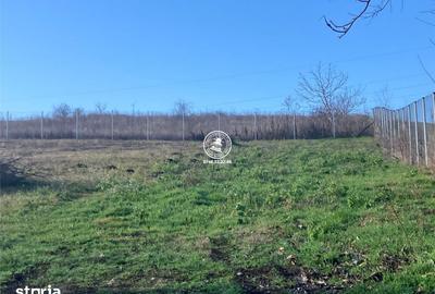 Teren de 2500 mp, în Miroslava