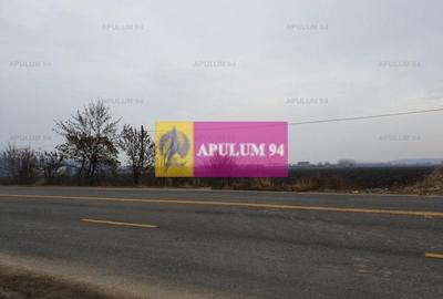 Teren Construcții intravilan de 13705 mp, în 1 Decembrie - 5