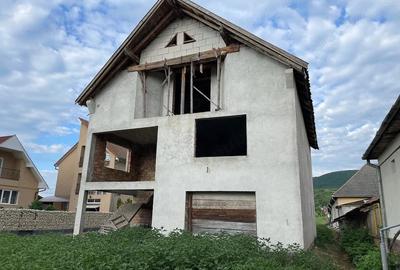 Casă cu Teren 4442 Mp în Viile Apei - 3