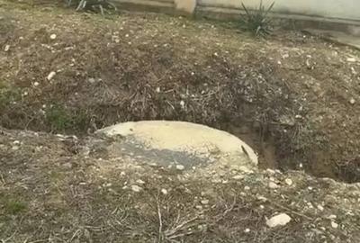 Teren de 2055 mp, în Brădești - 4